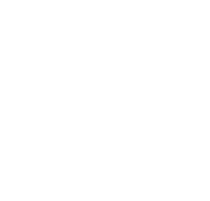 logotyp producenta Raw Paleo z tym napisem
