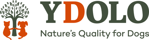 logotyp z napisem Ydolo oraz psem i kotem trzymajacymi sie za łapy wokół drzewa