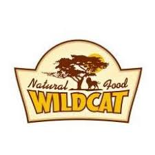 akacja afrykańska i lew pod nią